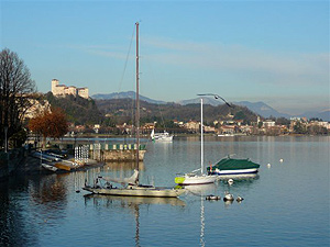 Arona